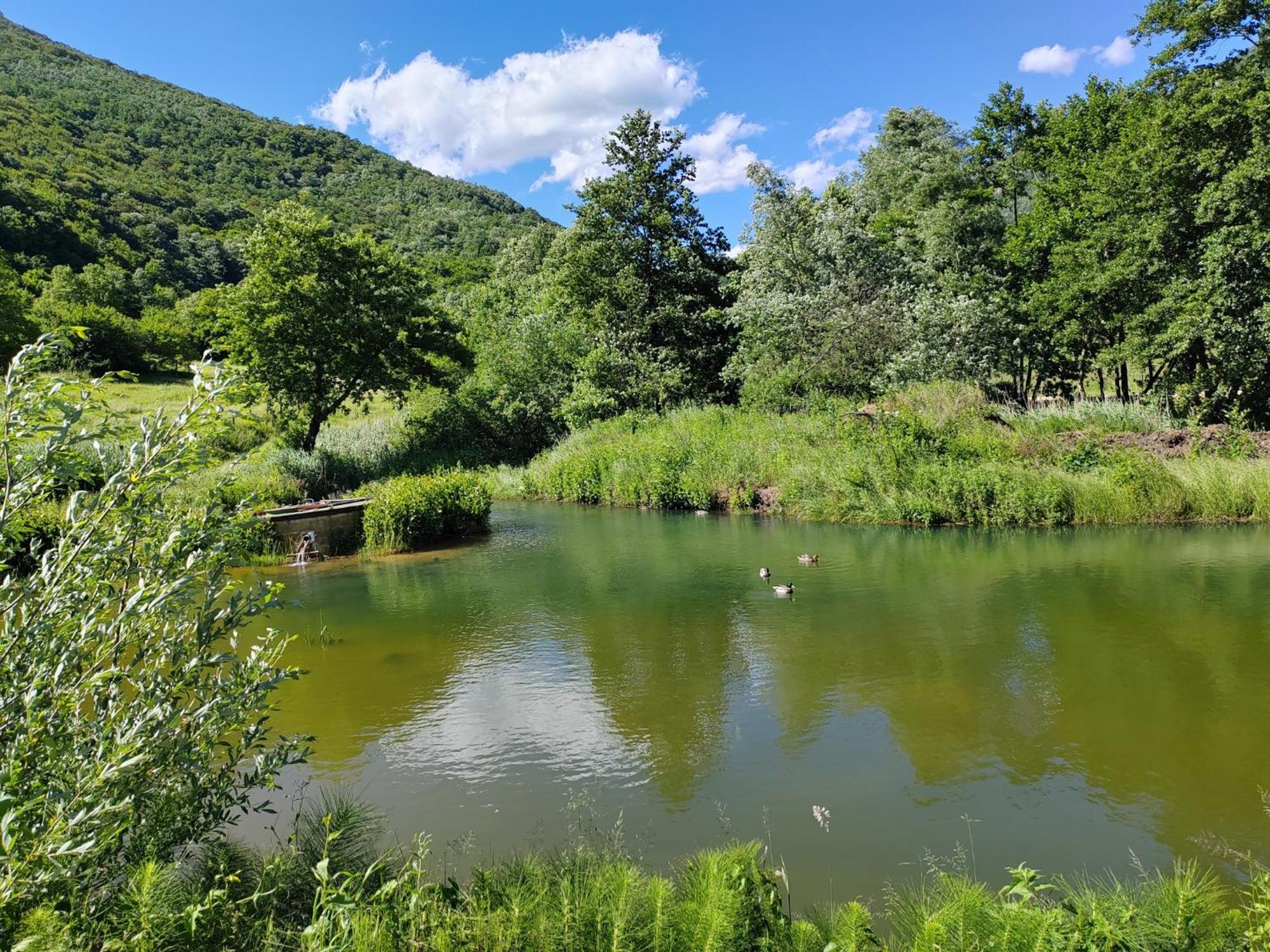 Cukovi Apartments Hills מראה חיצוני תמונה